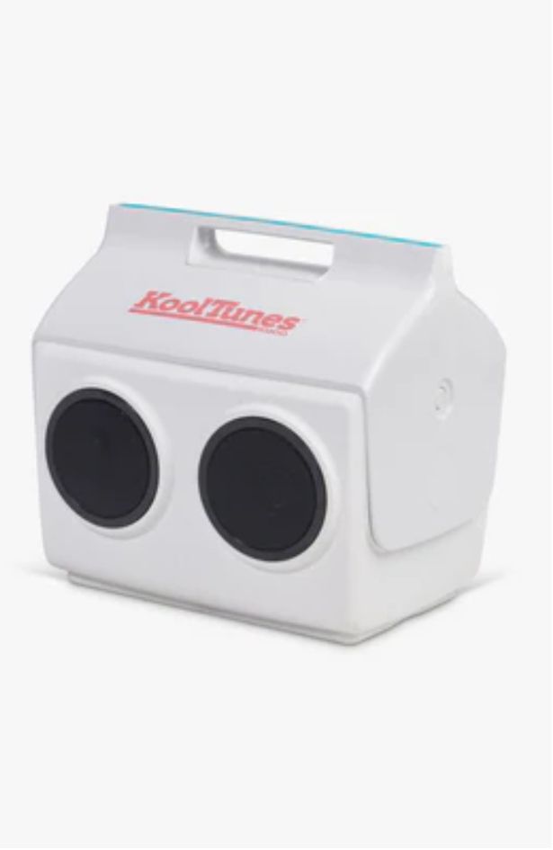 Mini boombox frižider za pool party