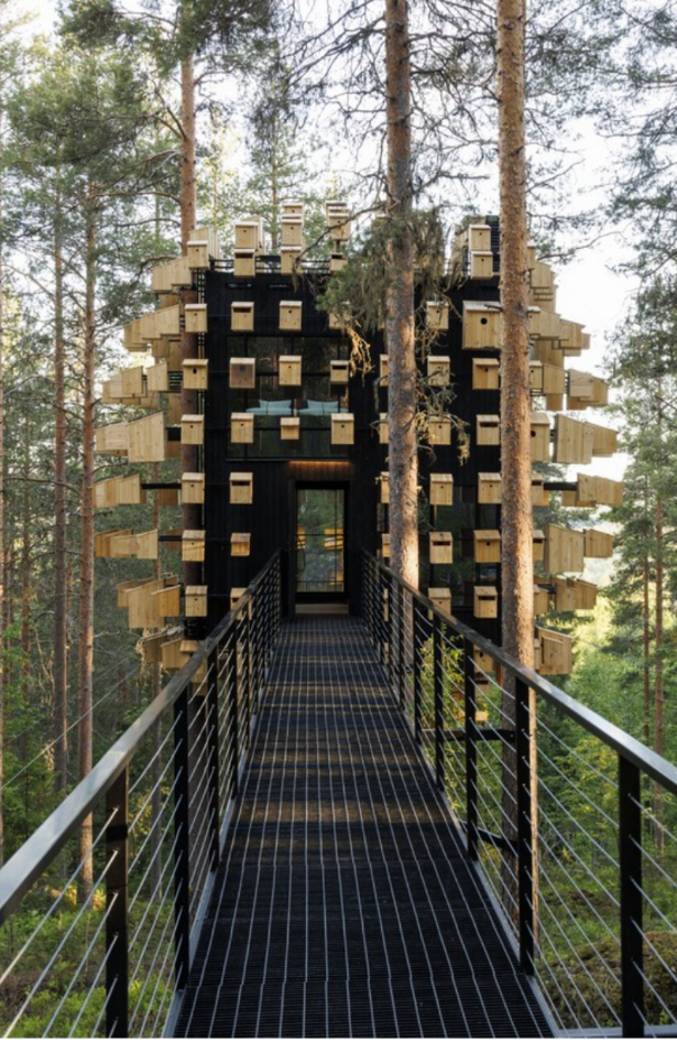Hotel Biosphere: Ovo je najveća kućica na drvetu koja je istovremeno dom za više od trista ptica