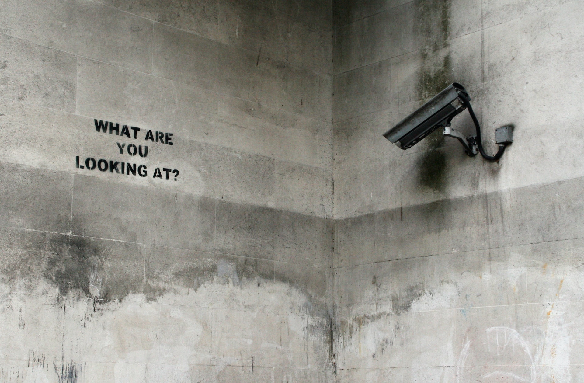 Izložba britanskog uličnog umetnika Banksyja u Poreču 