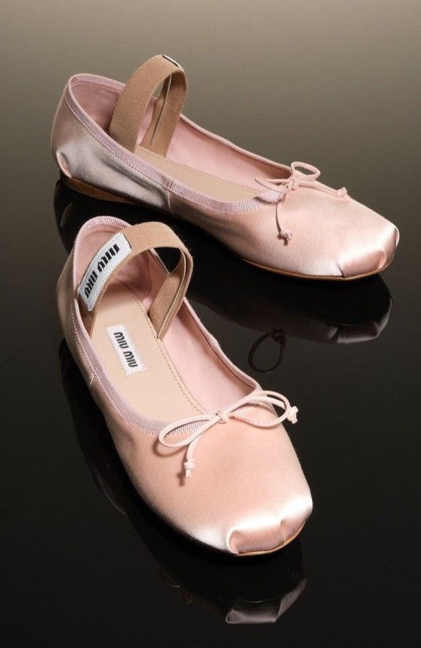 Wishlist: Miu Miu baletanke