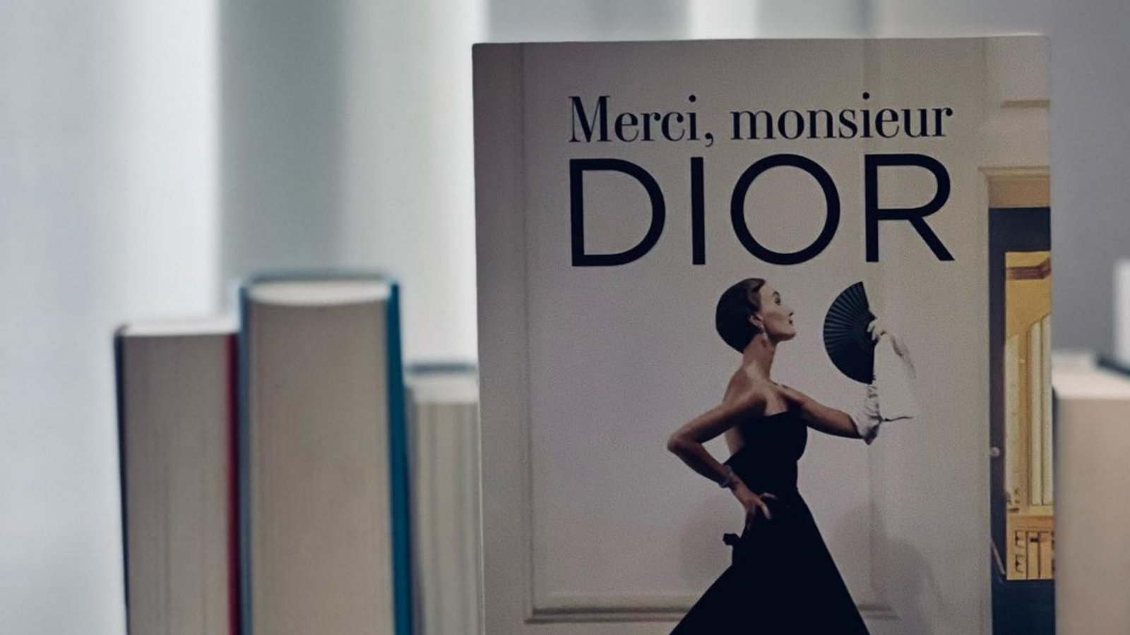 Journal preporuka: Knjiga „Hvala, gospodine Diore“ nemačke autorke Anjes Gabrijel