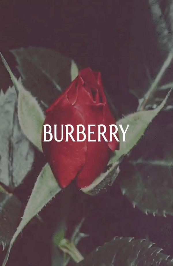 Modna kuća Burberry predstavila novi logo