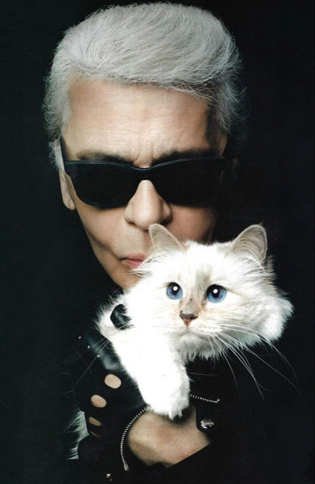 Choupette: Mačka Karla Lagerfelda biće počasni gost na Met Gali