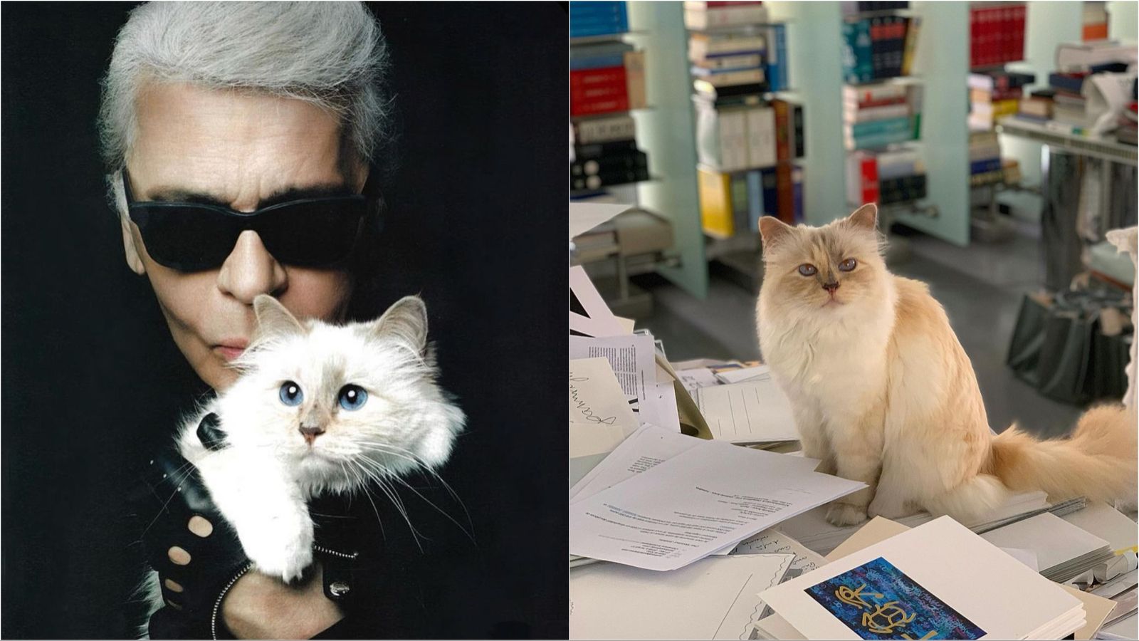 Choupette: Mačka Karla Lagerfelda biće počasni gost na Met Gali