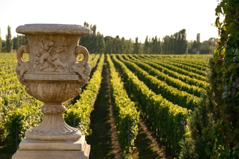 Vinski vikend vodič: Tri vinarije sa sjajnom gastro ponudom