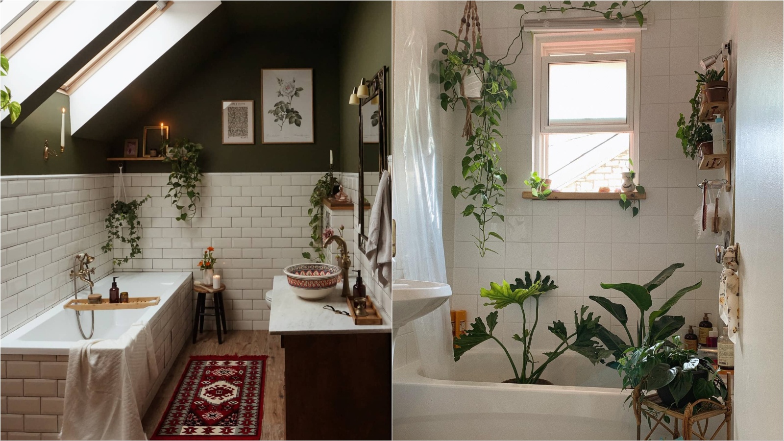 Biljke koje bi zapravo trebalo da stoje u kupatilu