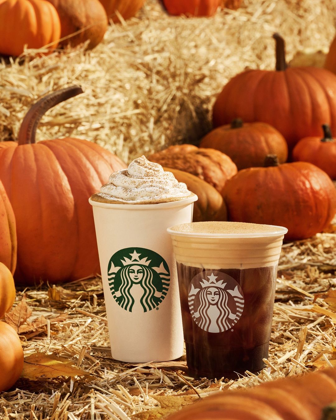 It’s pumpkin spice season: Kako da napravite omiljenu jesenju kafu kod kuće?