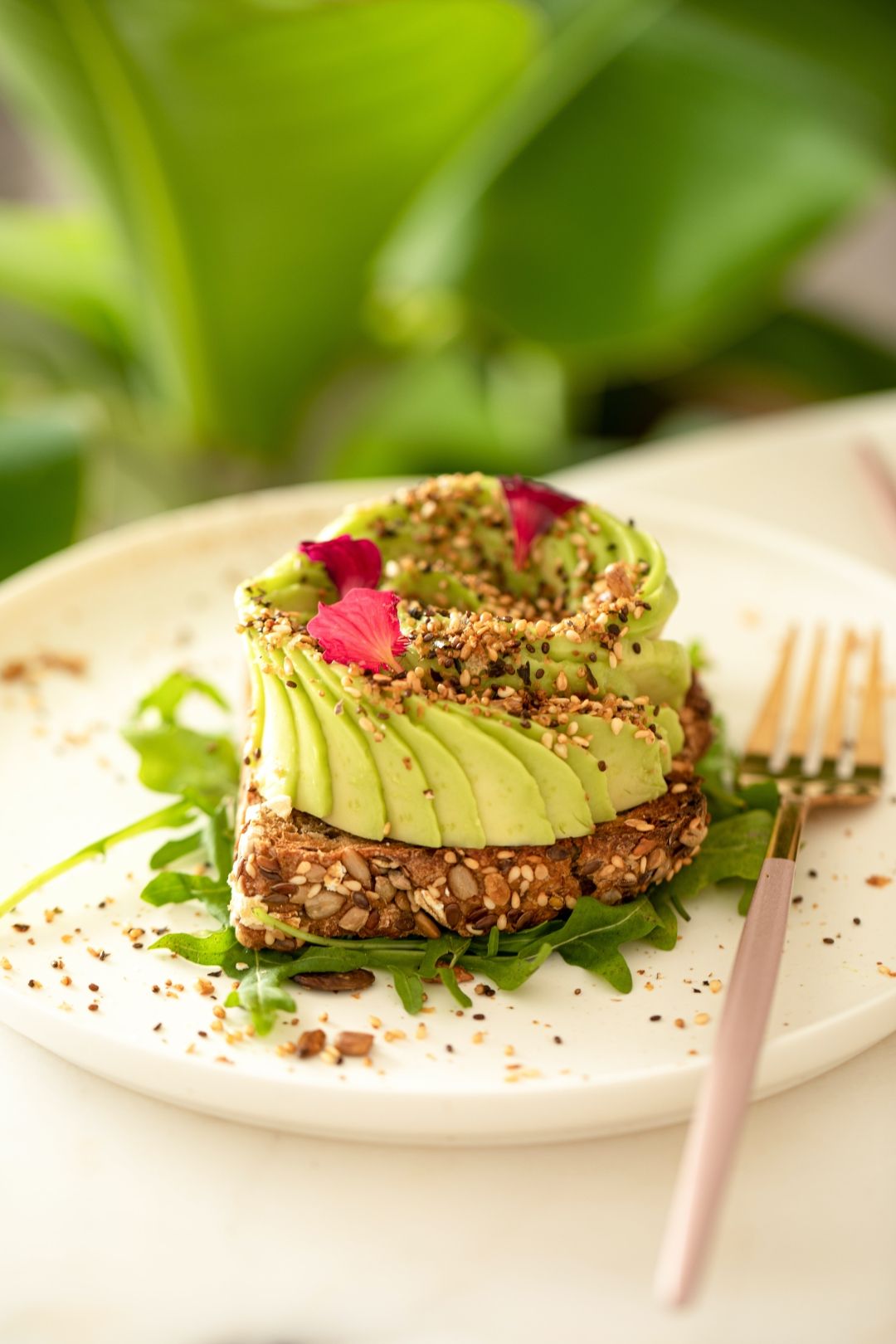 Kuda na vegetarijanski brunch u Beogradu