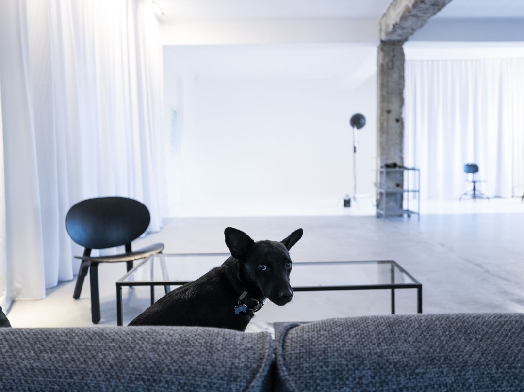 studio phi