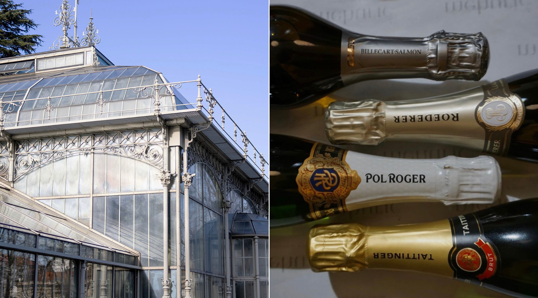 14. februar: Večernje vođenje kroz staklenik Botaničke bašte uz penušavo vino? Može!