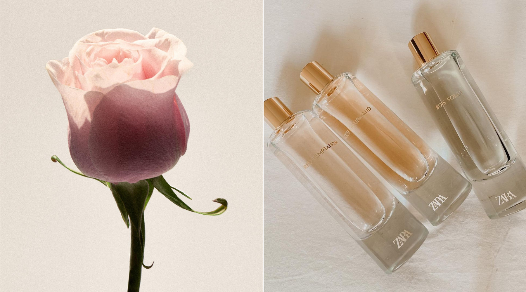 Volite parfeme sa mirisnim notama ruže? Zara ima četiri must favorita 