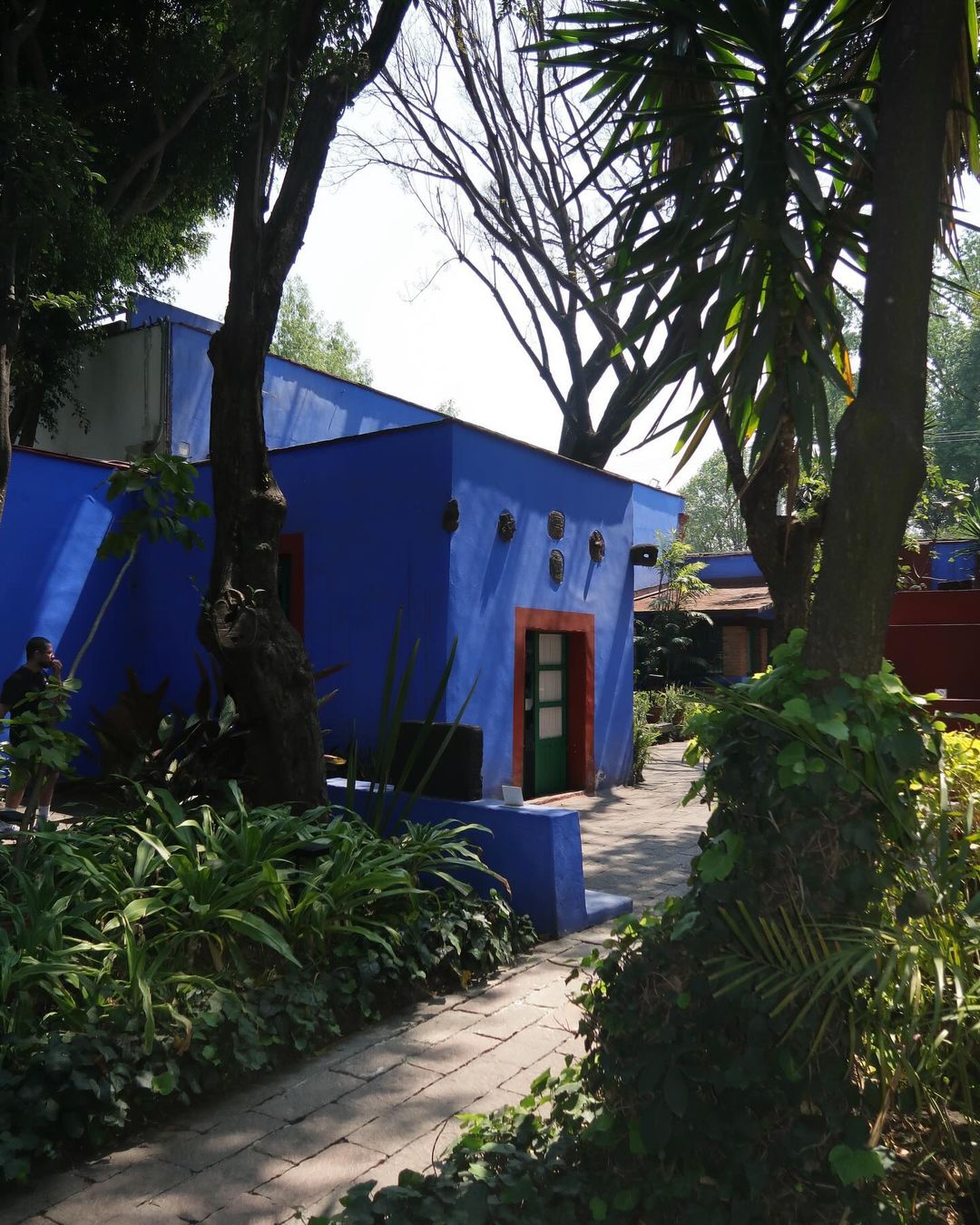 Ovde je živela Frida Kahlo: Vodimo vas u virtuelni obilazak Case Azul