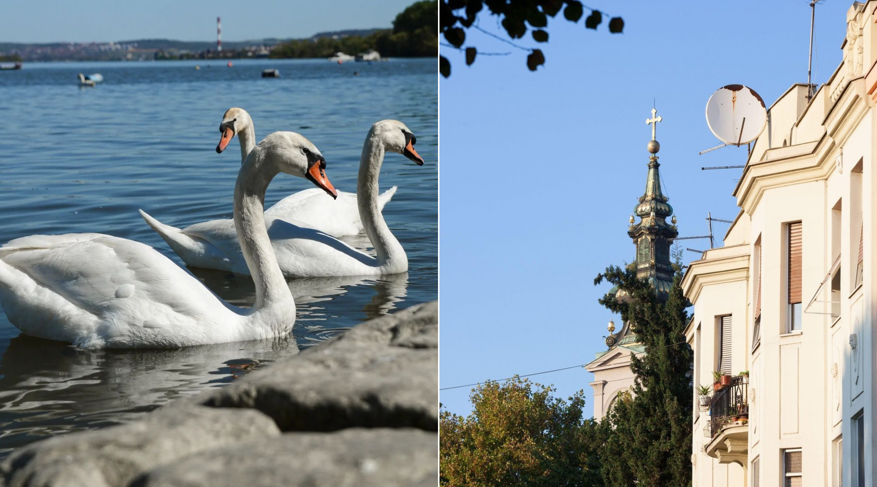 Belgrade (summer) vibes: Vrele dane provodimo na ovim lokacijama