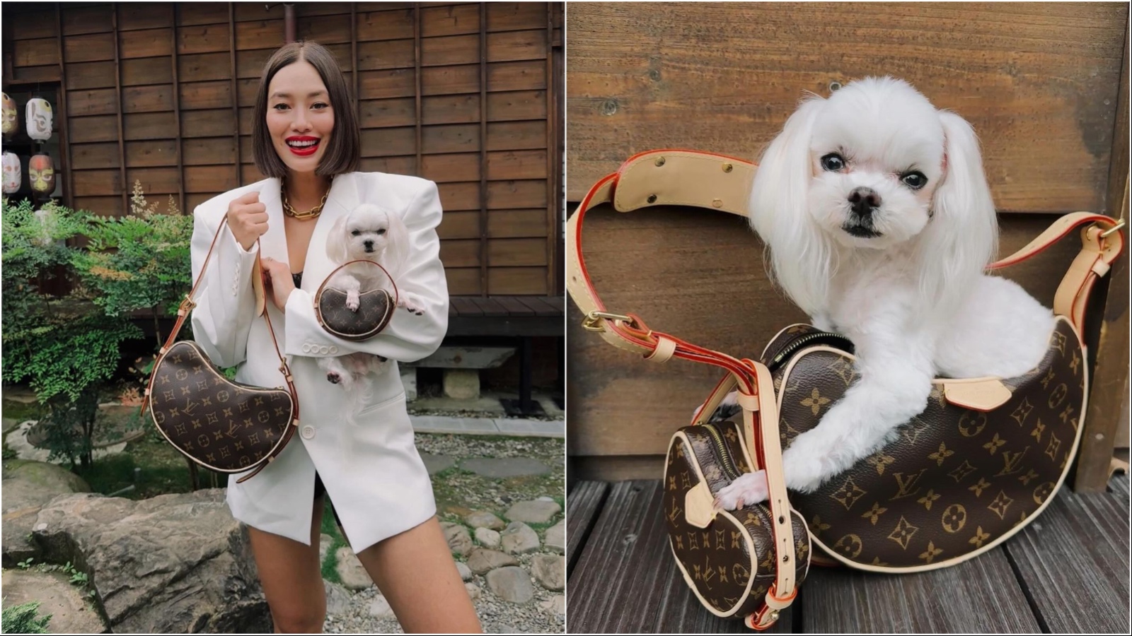 Who wore it better: Tiffany Hsu i njen maltezer nose matching Louis Vuitton torbe