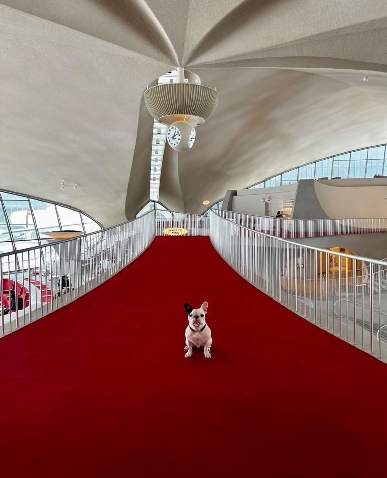 twa hotel