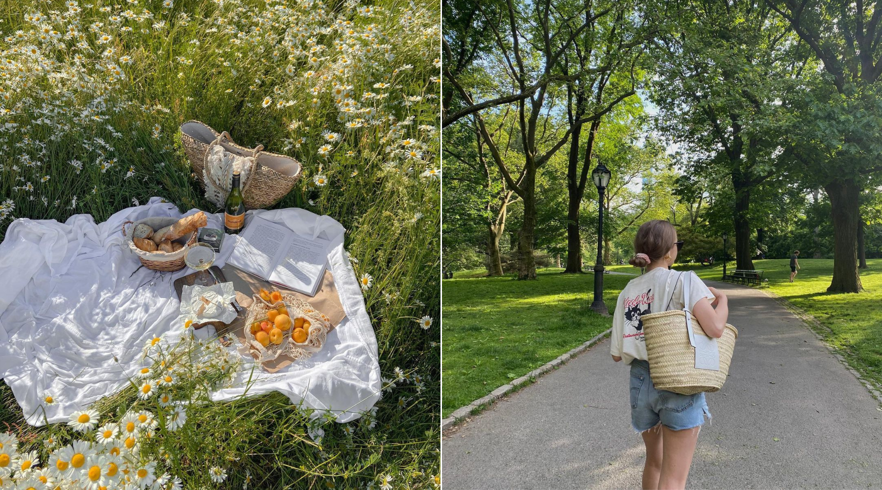 Piknik – in style: Ultimativni vodič za pakovanje za sledeći boravak u prirodi