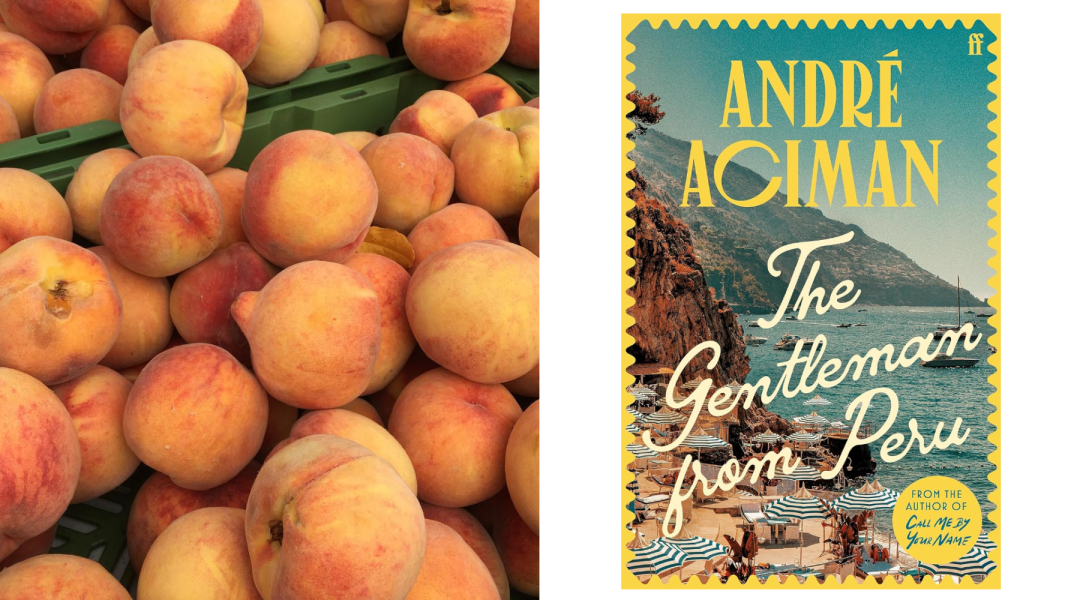 André Aciman, autor bestselera „Call Me by Your Name“, ima novu knjigu