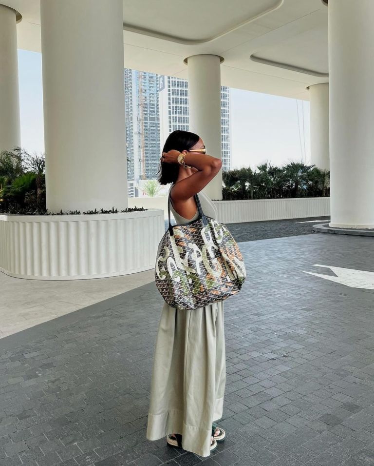 Goyard Artois PM Bag VS Louis Vuitton Neverfull 19000