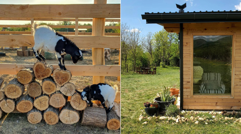 Capra glamping farm u Srbiji (3)