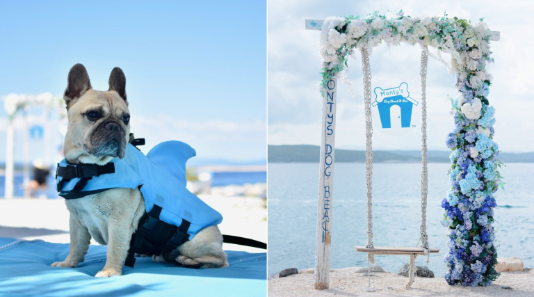 plaža za pse hrvatska crikvenica (3)