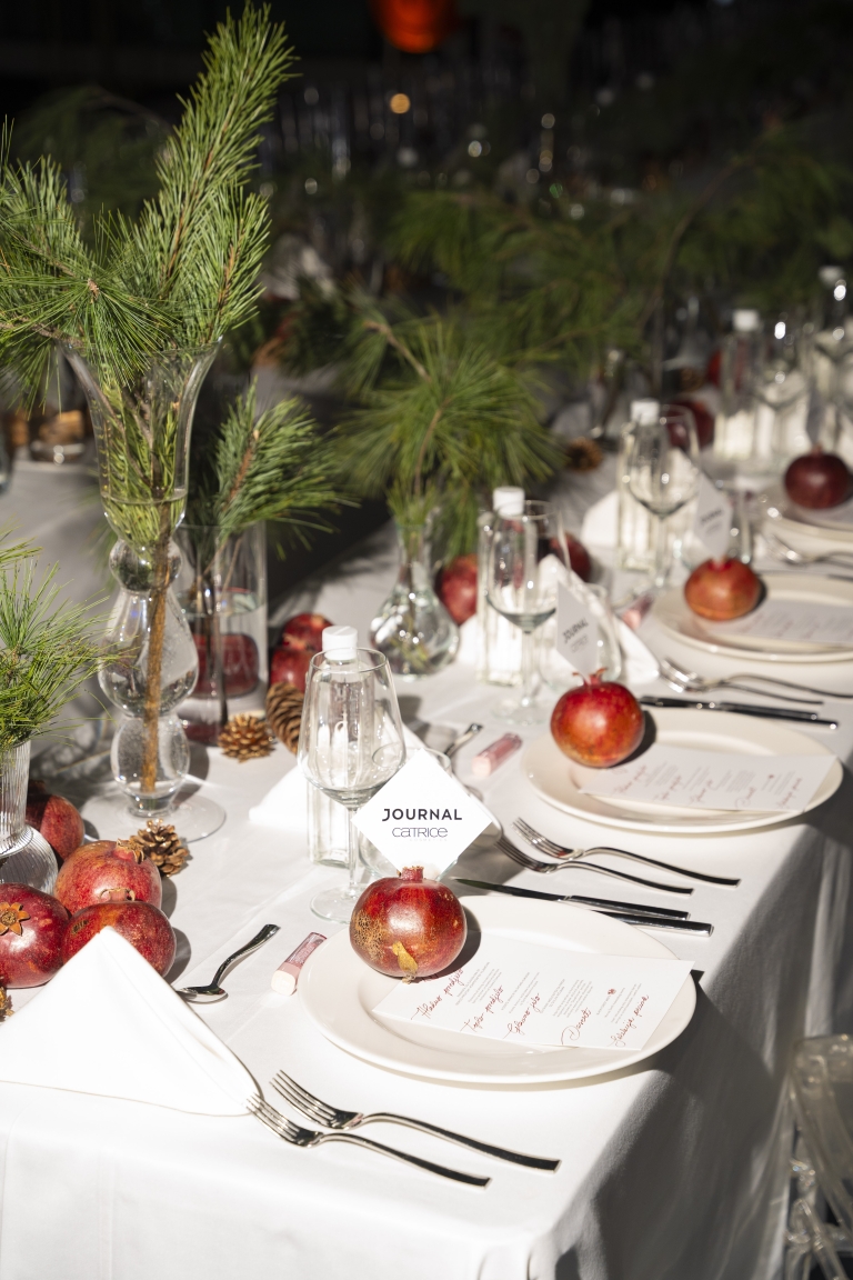 journal xmas dinner video (3)