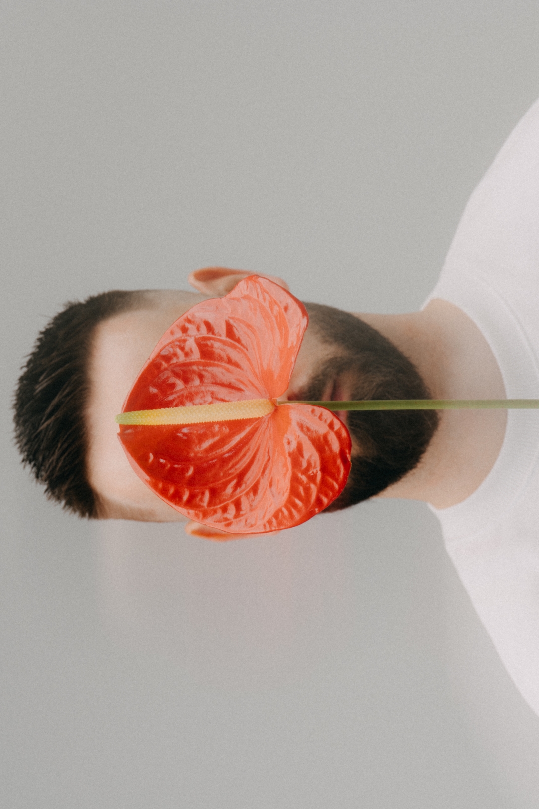Ekskluzivni Journal x thedancingis_good Spring Box