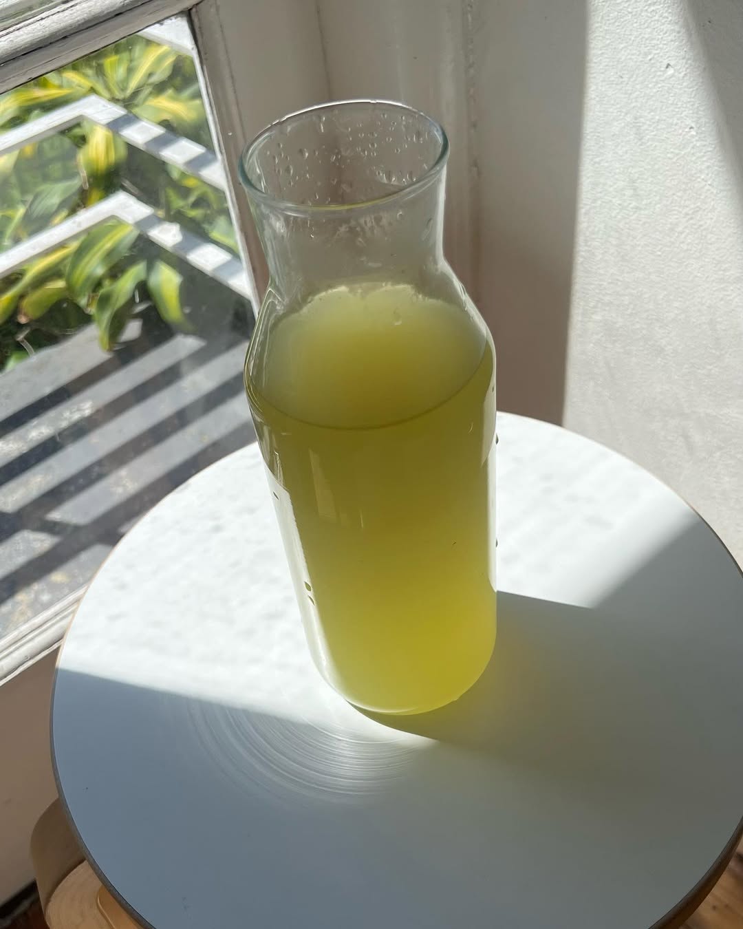 sok od celera ujutru (2)