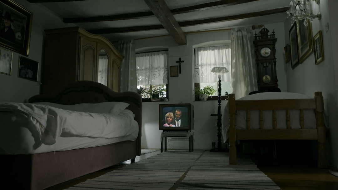 flim o zvonku bogdanu, maja uzelac, beldocs