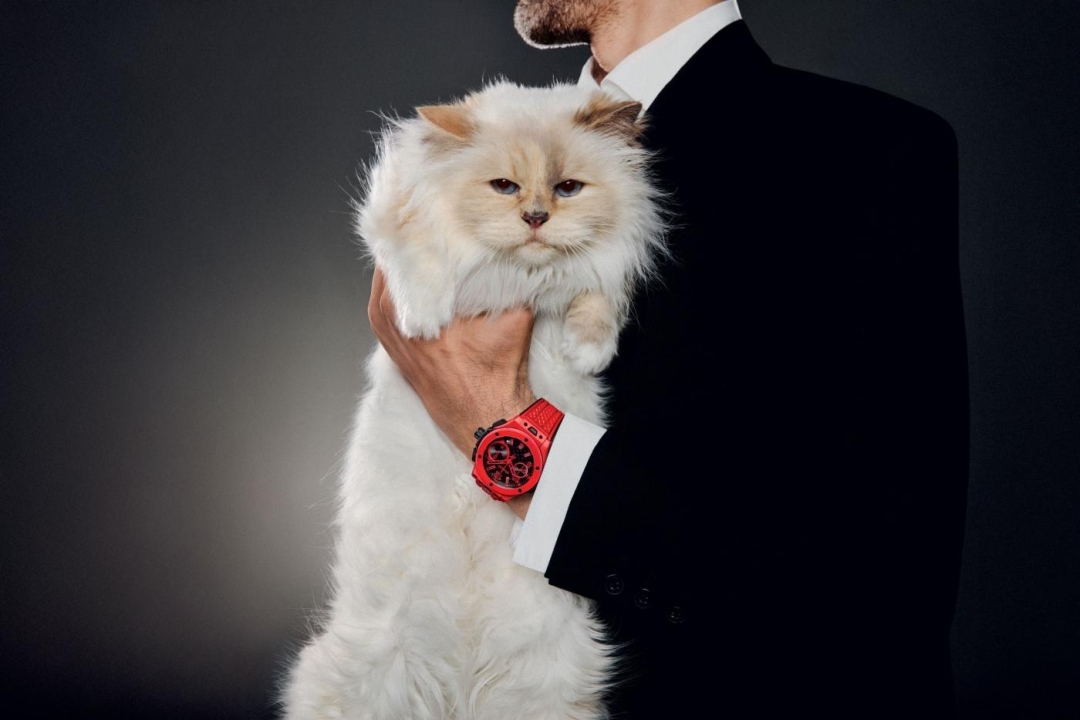 Mačka Karla Lagerfelda, Choupette, novoj Hublot kampanji donosi „haute couture” stav