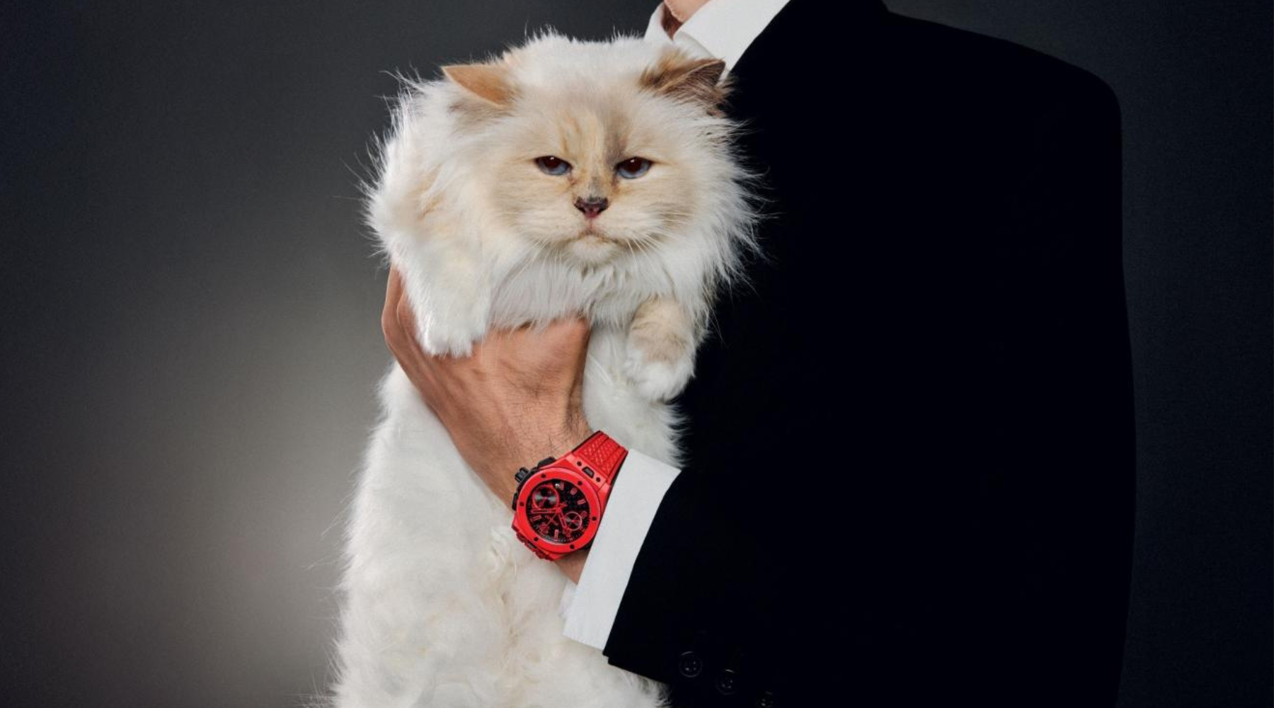 Mačka Karla Lagerfelda, Choupette, novoj Hublot kampanji donosi „haute couture” stav
