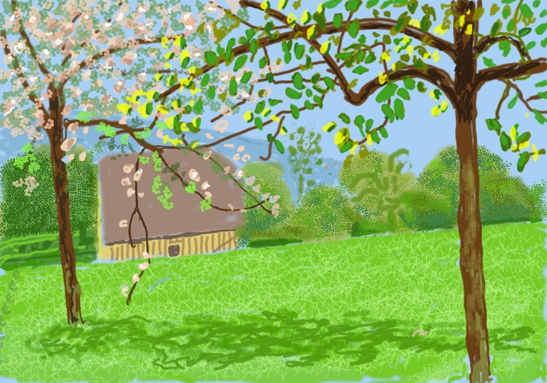 David-Hockney-Muzej-savremene-umetnosti-1
