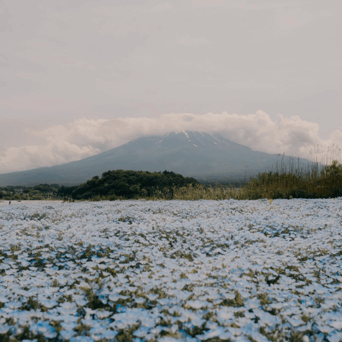 Japan kroz kadar: Fotograf Matia Malenica otkrio nam je čari sve popularnije destinacije za putovanje (i život)