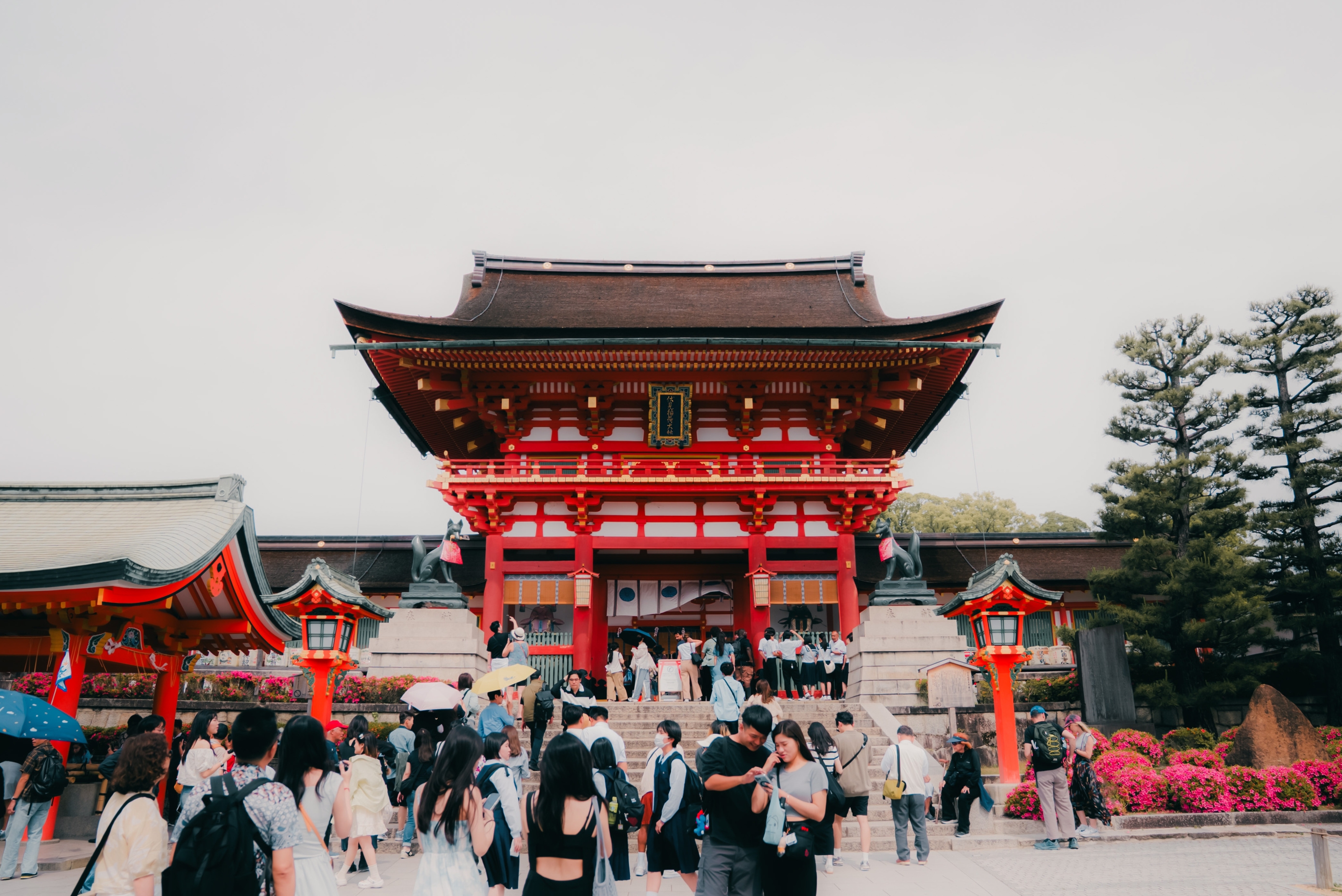 Japan kroz kadar: Fotograf Matia Malenica otkrio nam je čari sve popularnije destinacije za putovanje (i život)
