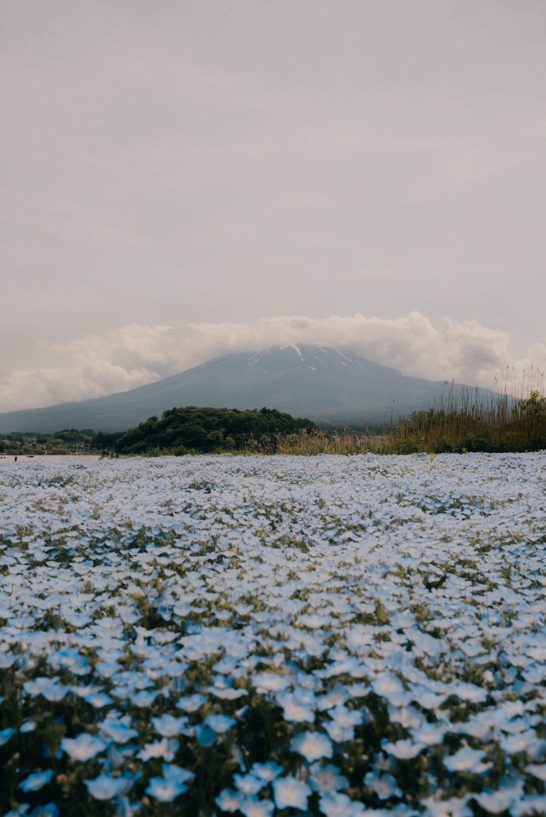 Japan kroz kadar: Fotograf Matia Malenica otkrio nam je čari sve popularnije destinacije za putovanje (i život)