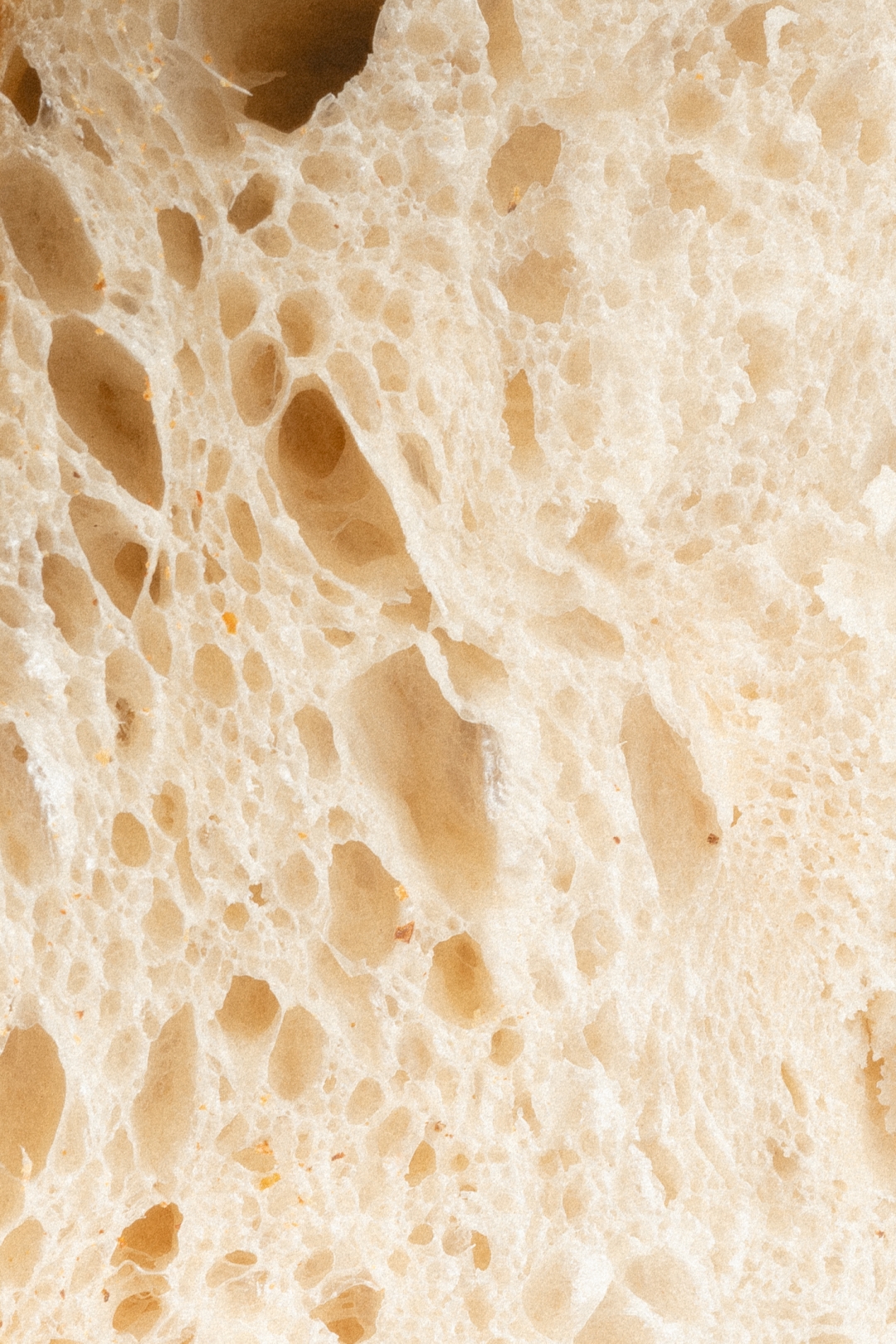 Vodič za sourdough hleb sa Pretop pekarom – zanatski hleb kao filozofija