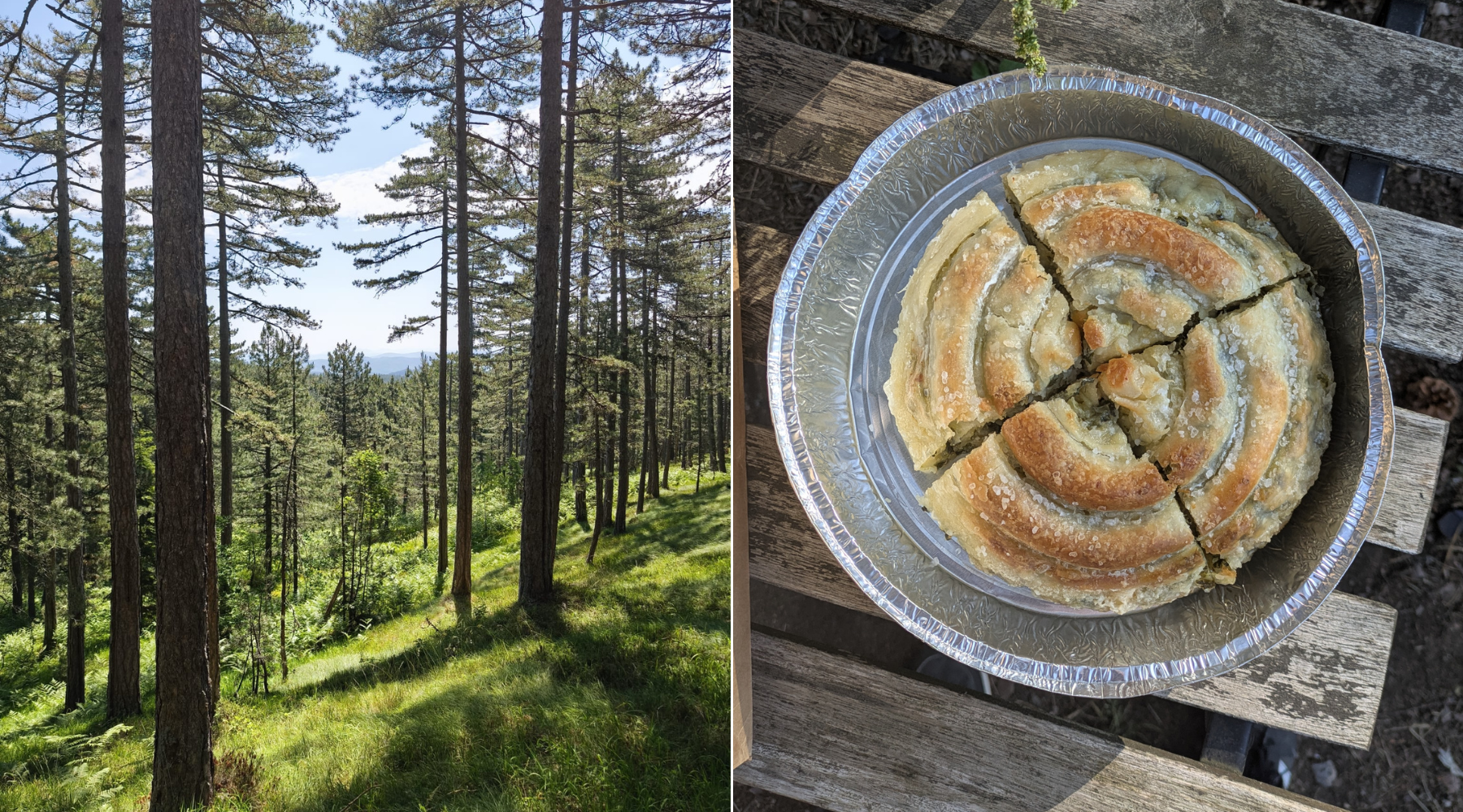 Tara je savršena za vikend: Gastro vodič za tri lokacije koje ne treba propustiti