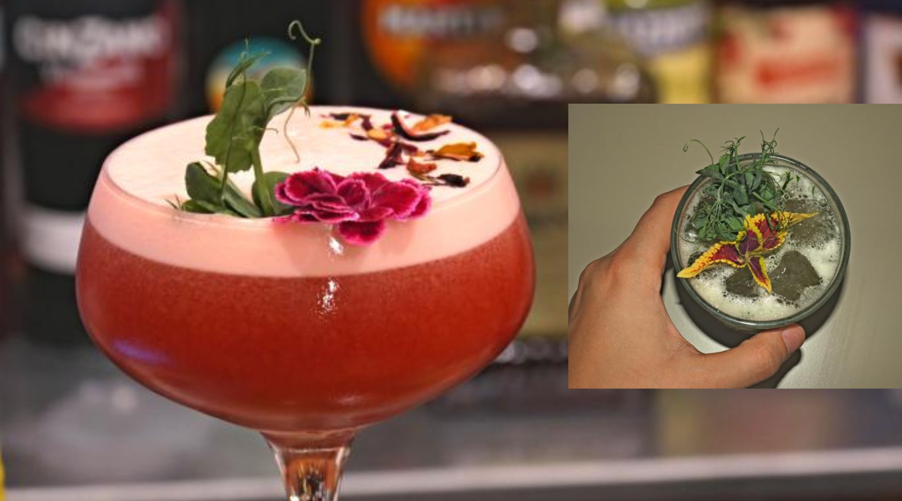 Gde na piće posle posla? Idemo u Vir, novi bar u Beogradu