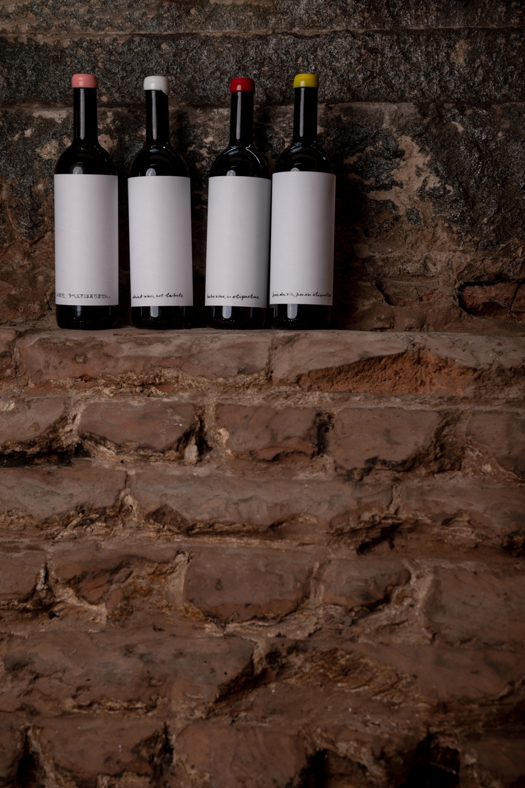 Fresca Cellar-otvaranje