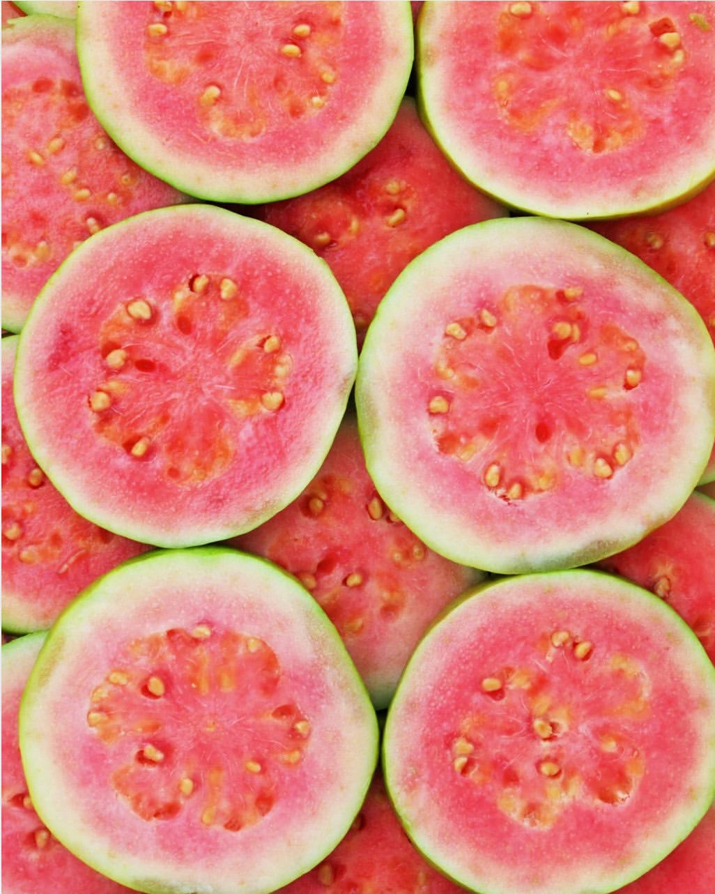Dobrodošli u Guava Girl Summer: Ovo su Journal beauty favoriti
