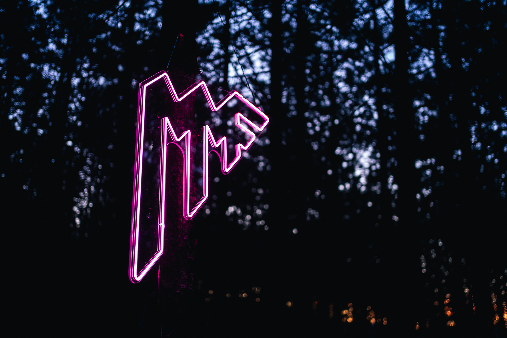 MMF-2025