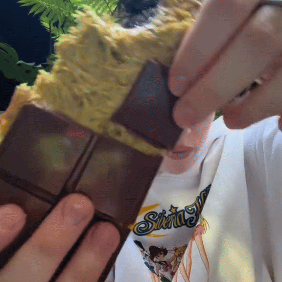 Billie Eilish je podelila sa fanovima svoj omiljeni recept za (vegansku) Dubai čokoladu
