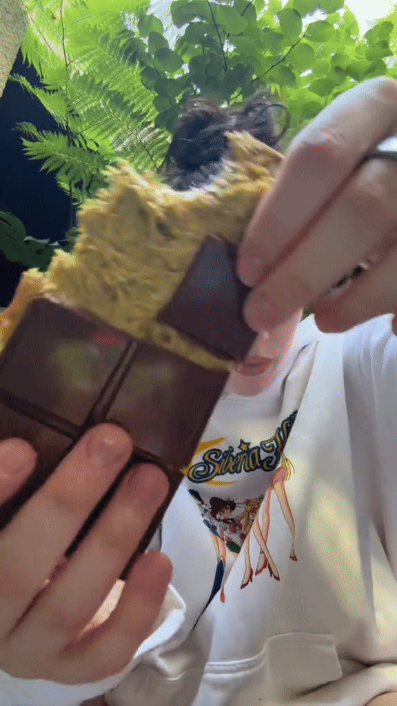 Billie Eilish je podelila sa fanovima svoj omiljeni recept za (vegansku) Dubai čokoladu