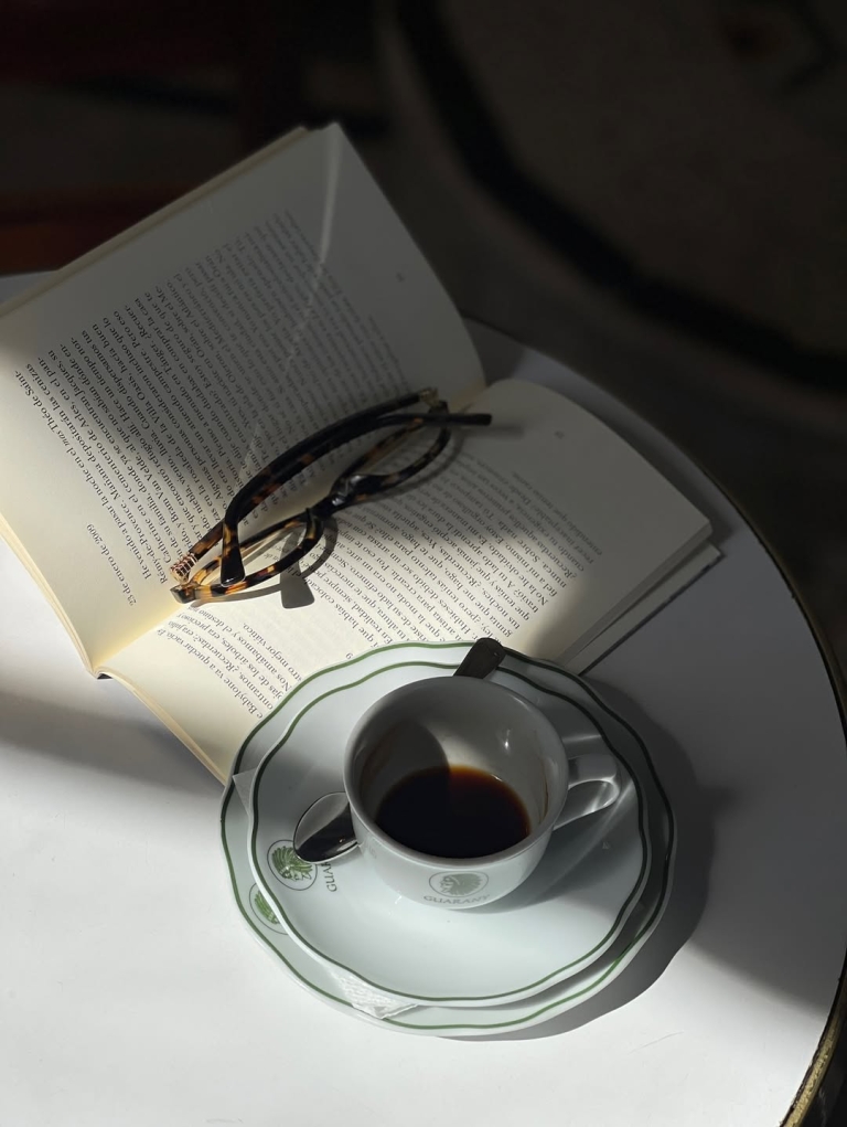 Journal preporuka: Roman „Satri“