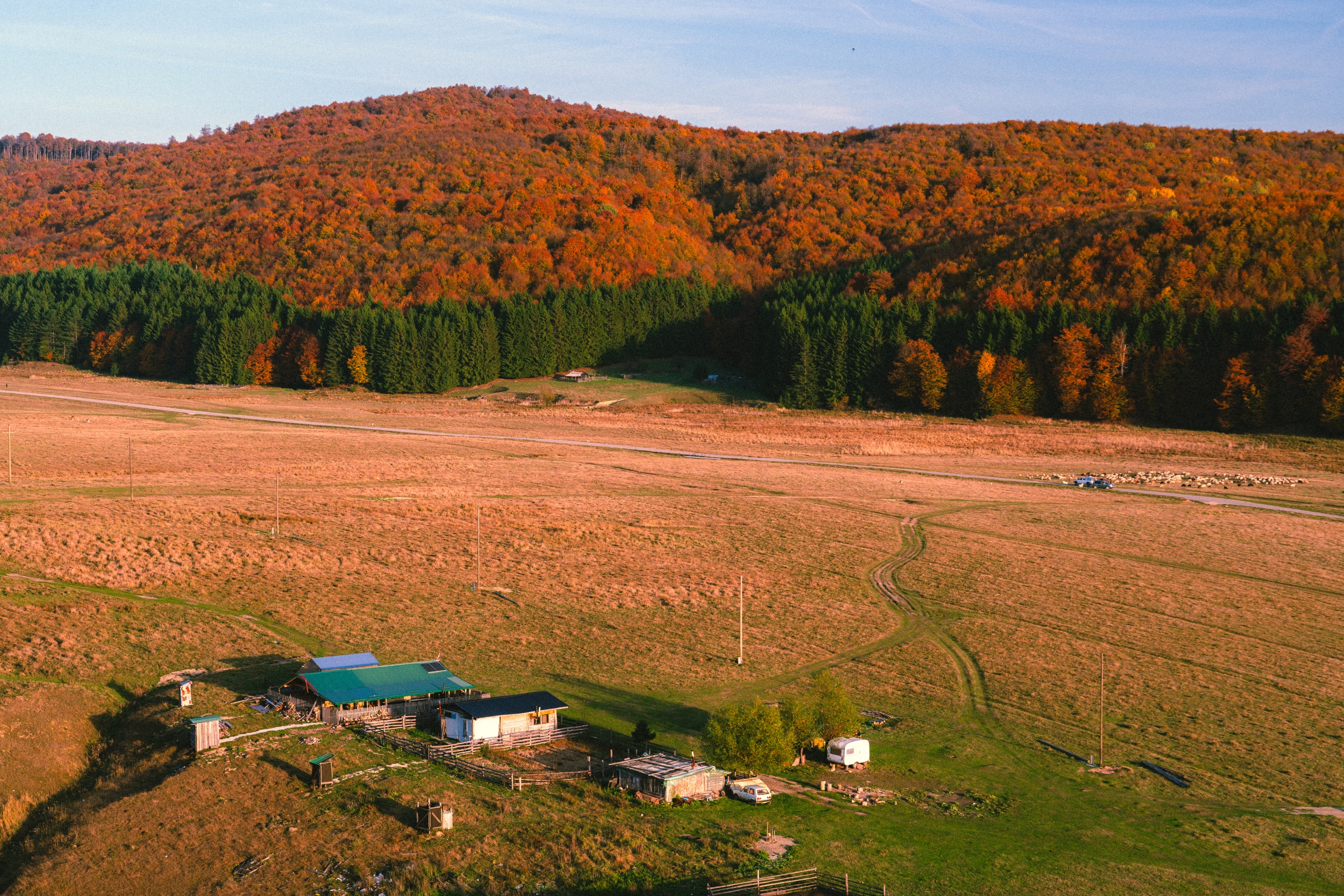 Velika Brezovica