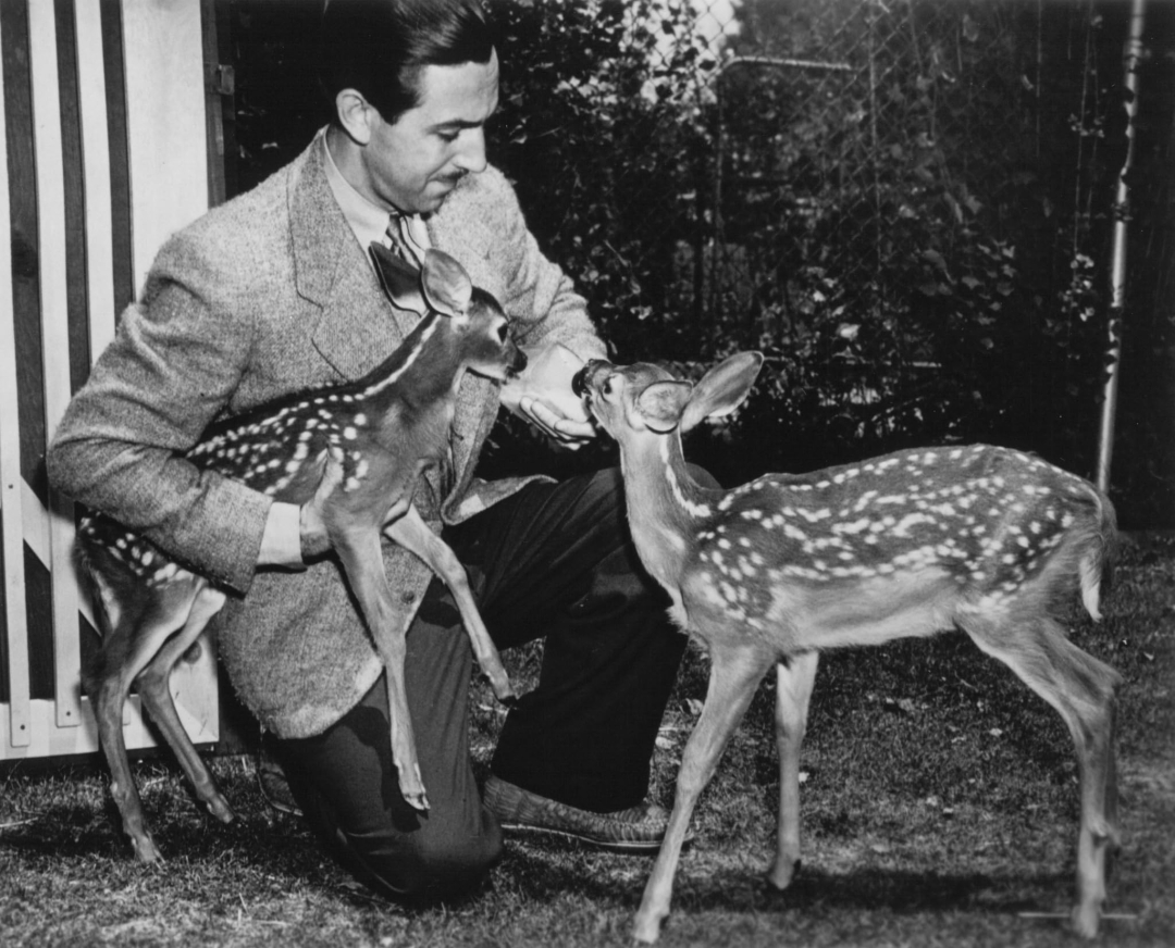 Bambi