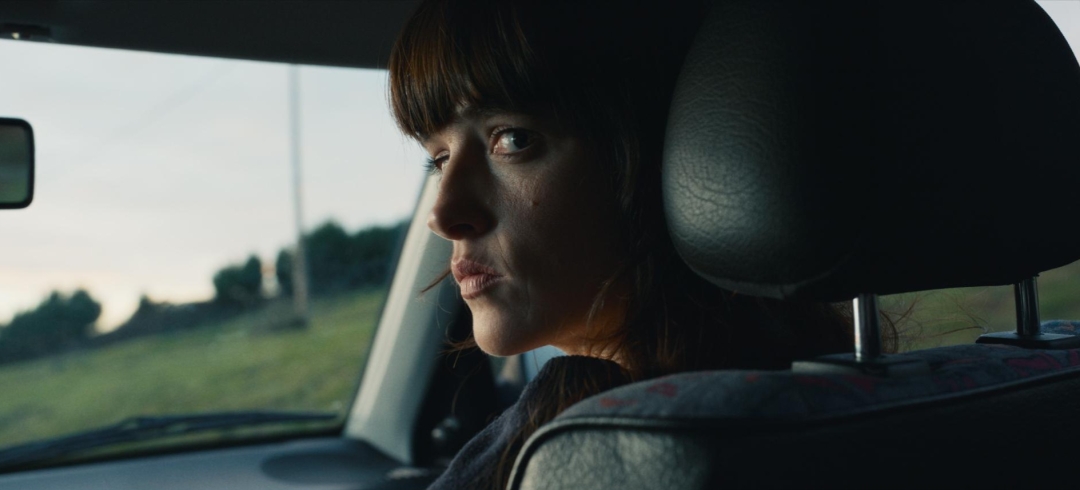 Film She Walks in Darkness ove stiže na Netflix: Donosimo detalje