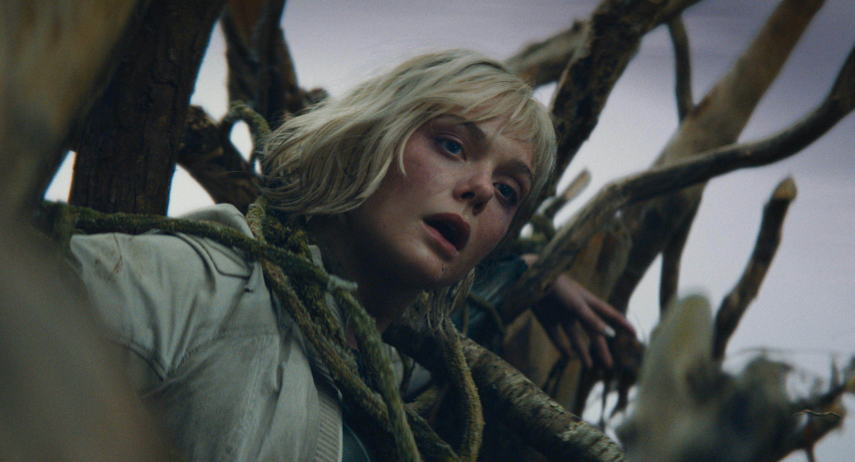 Filmski podsetnik: Šta gledamo tokom novembra?