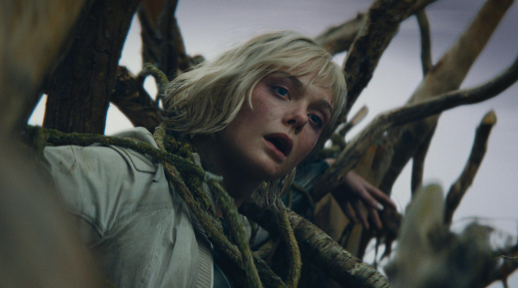 Filmski podsetnik: Šta gledamo tokom novembra?