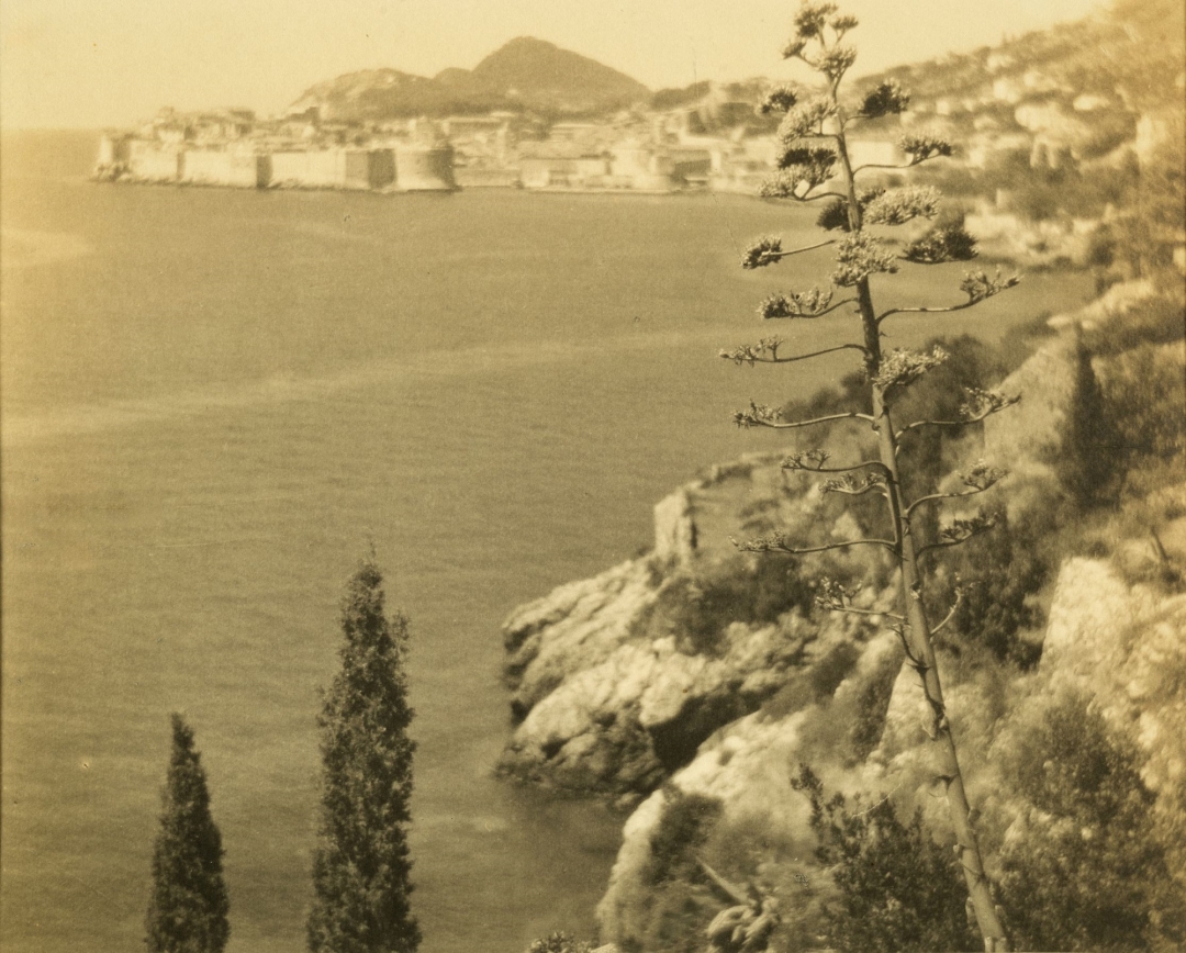 klara siprel: dubrovnik, jugoslavija