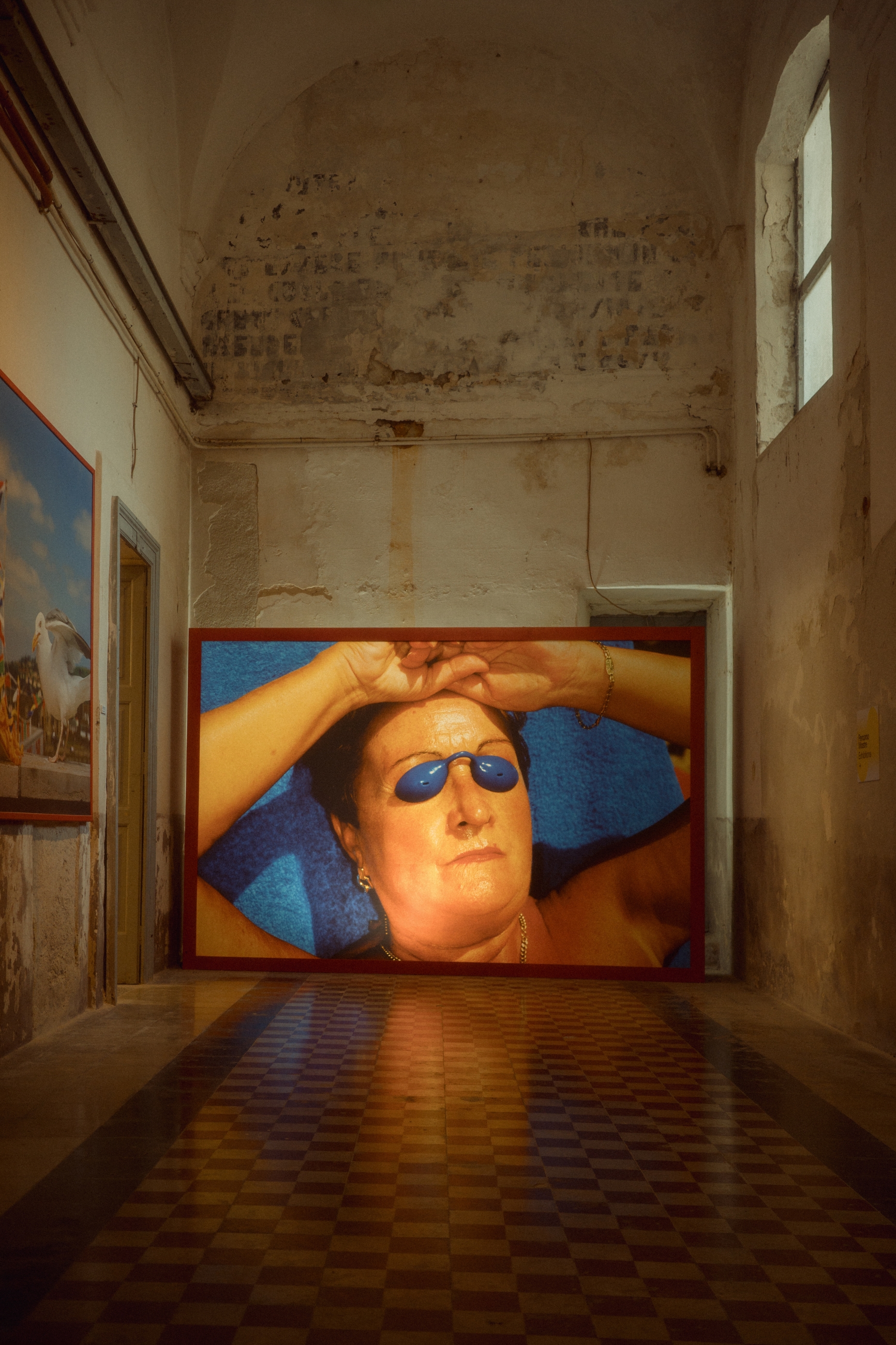 PhEST 2025: Umetnici Martin Parr i Sam Youkilis u fokusu